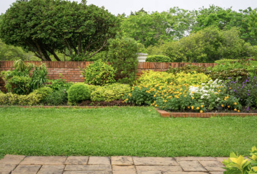 An image of Landscape/Backyard Design in Riverview FL