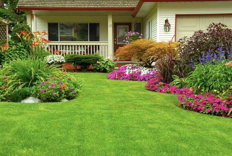 An image of Landscaping Company in Riverview FL