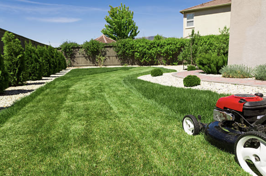 An image of Lawn Care Services in Riverview FL
