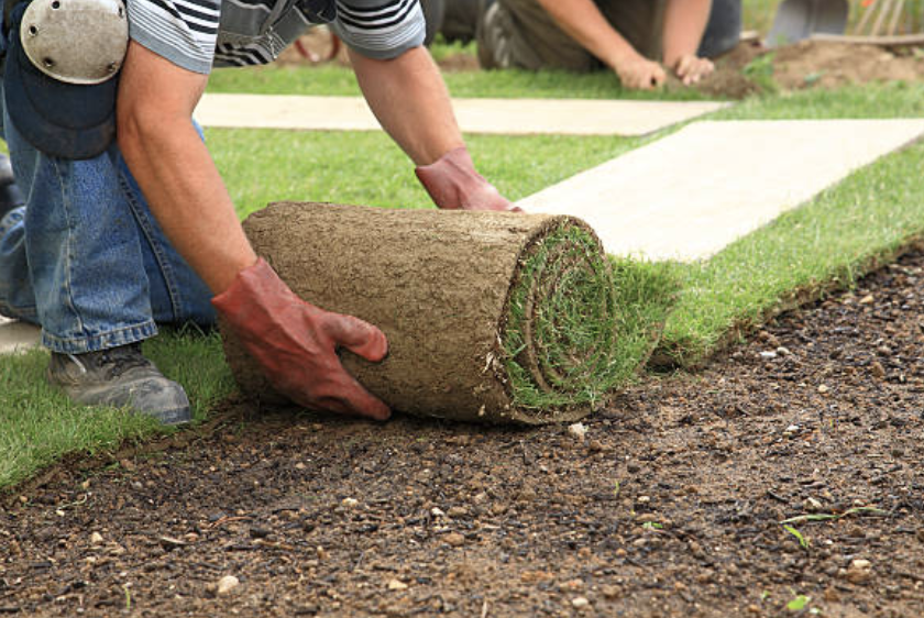 An image of Sod Installation in Riverview FL
