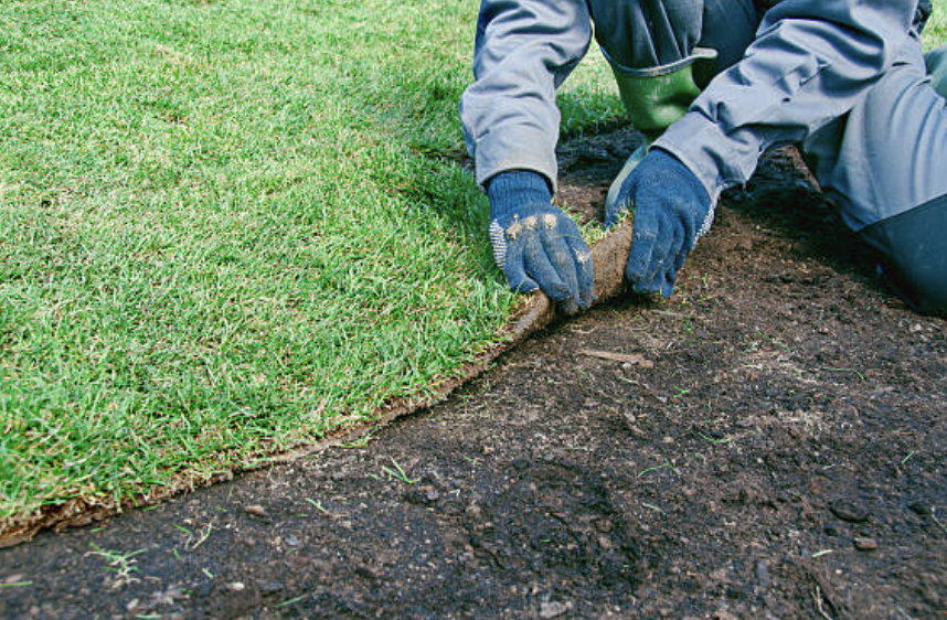 An image of Sod Installation Services in Riverview FL